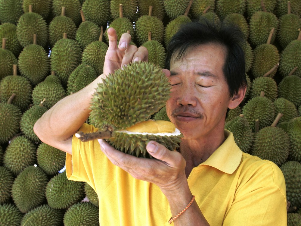 5 Health Benefits Of Eating Durian The King Of Fruits Small Joys 4546