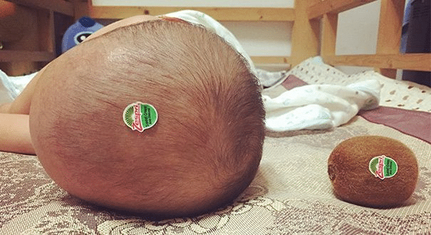 kiwi and baby
