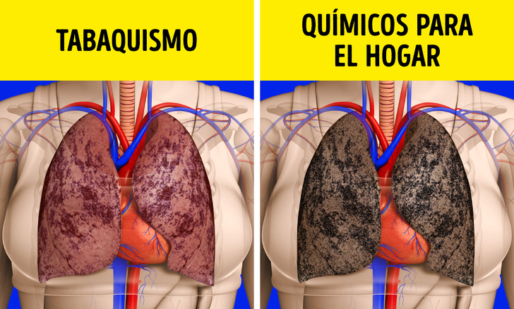 8 Buenas razones para rechazar la limpieza frecuente de la casa (especialmente con la aspiradora)