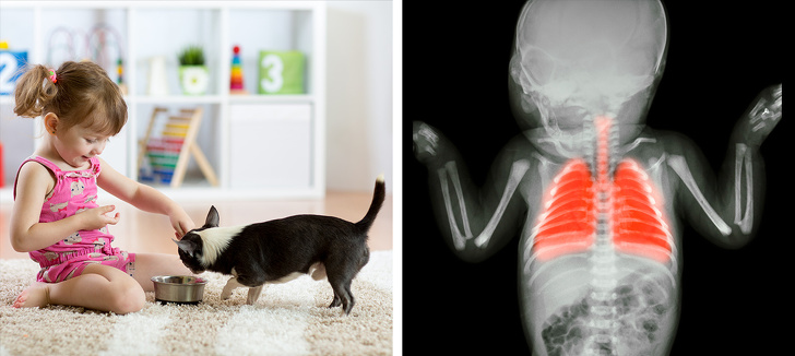 8 Productos peligrosos que los padres deberían mantener fuera del alcance de sus hijos