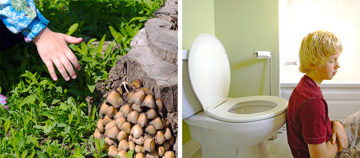 8 Productos peligrosos que los padres deberían mantener fuera del alcance de sus hijos