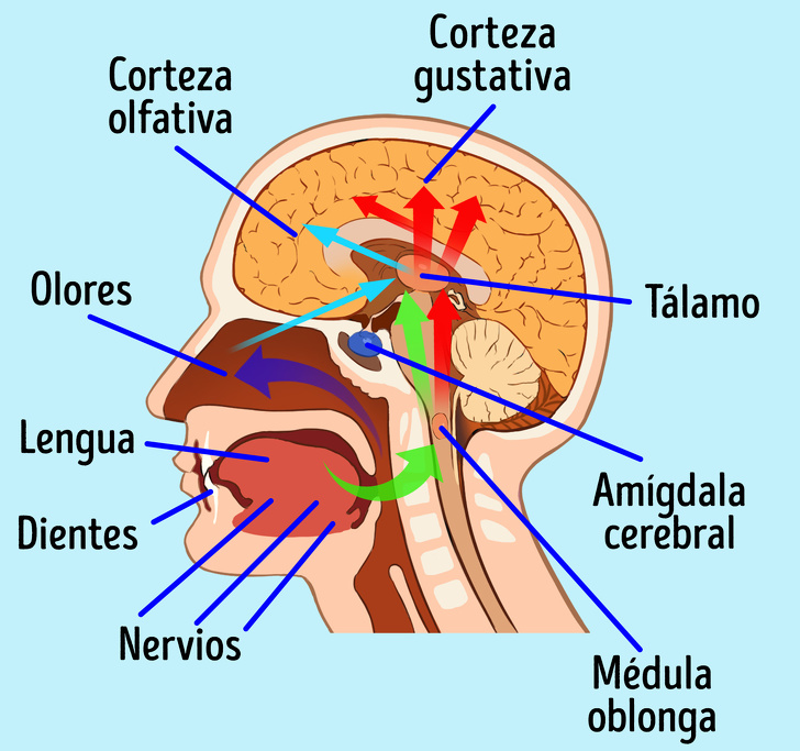 7 Superpoderes cuya existencia muchos desconocen, pero los tienen