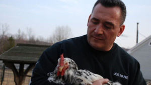 Resultado de imagen de rescue ink Joe Panz