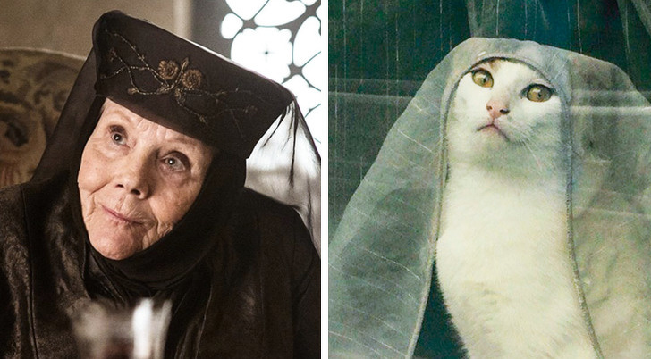 Científicos descubieron cuáles de los personajes de “Juego de Tronos” tienen más chances de sobrevivir hasta el final