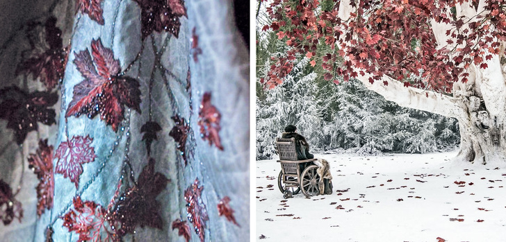 11 Detalles que esconde el vestido de Sansa Stark, de “Juego de tronos”