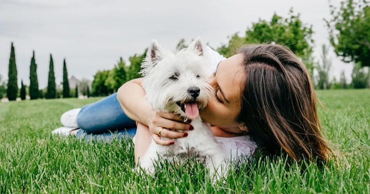 15 Ways Of Showing Your Affection To Your Dogs - Small Joys