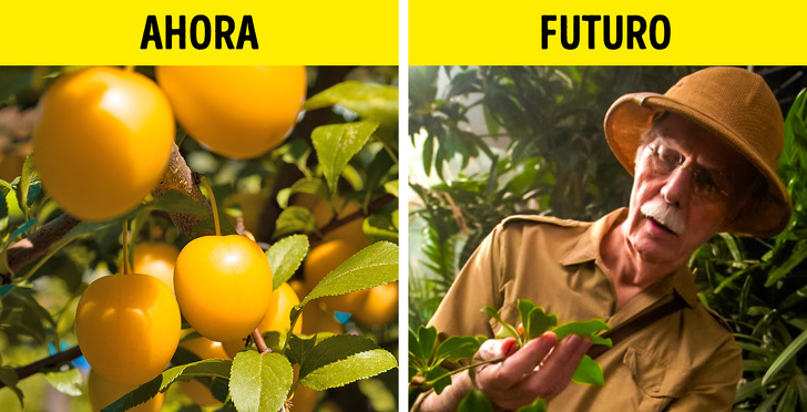 10 Alimentos que posiblemente nunca volvamos a comer debido al cambio climático