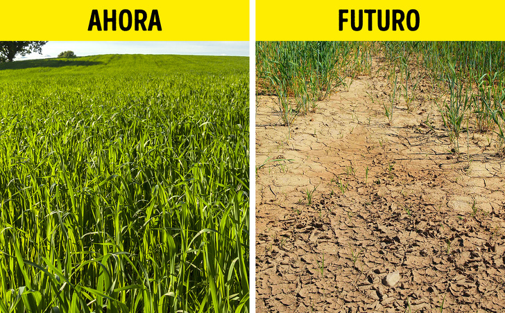 10 Alimentos que posiblemente nunca volvamos a comer debido al cambio climático