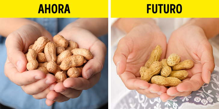 10 Alimentos que posiblemente nunca volvamos a comer debido al cambio climático