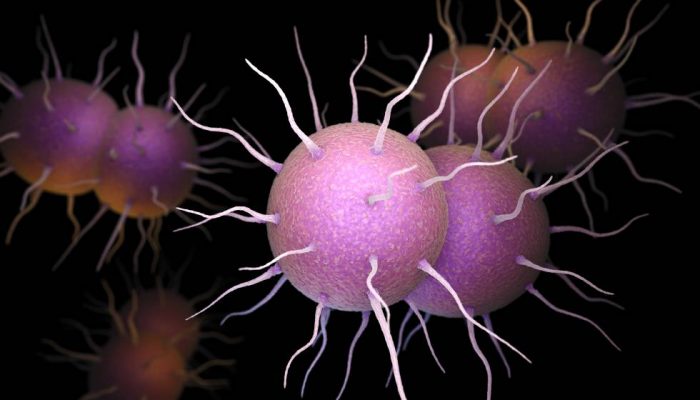 Kissing Is More Likely To Spread Sti Gonorrhea Than Intercourse Researchers Warned Small Joys 6369