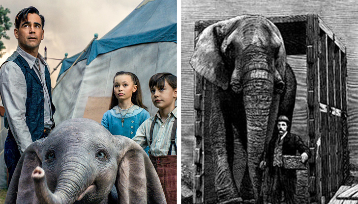 La trágica historia de Jumbo, el elefante que inspiró las películas de Dumbo