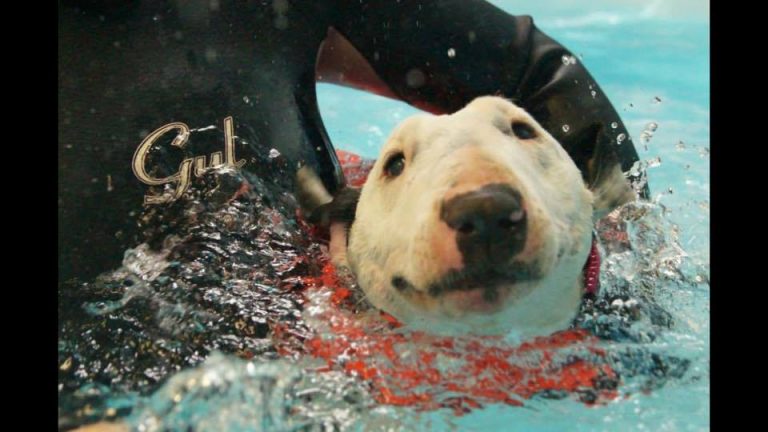 La imagen puede contener: exterior