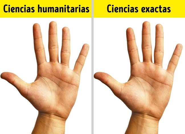 Científicos nombraron los 12 signos más extraños, pero verdaderos, que demuestran que eres una persona inteligente