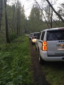 Image may contain: car, tree, outdoor and nature