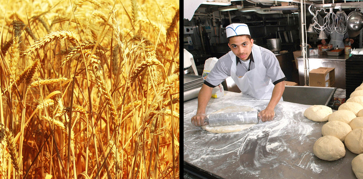Qué cambios ocurren en tu cuerpo si dejas de comer pan