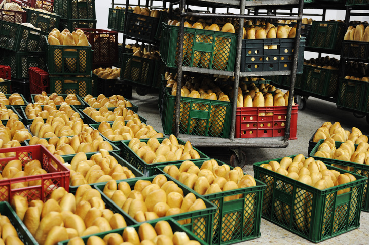 Qué cambios ocurren en tu cuerpo si dejas de comer pan