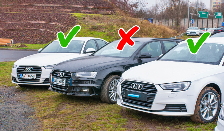 13 Prohibiciones en todo el mundo que sorprenden incluso a los habitantes locales