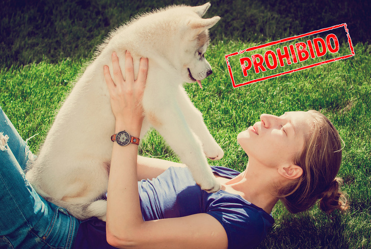 13 Prohibiciones en todo el mundo que sorprenden incluso a los habitantes locales