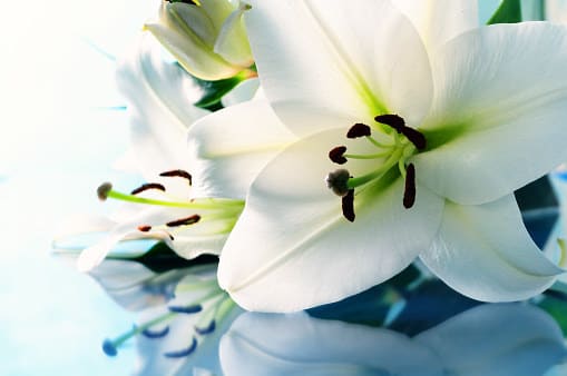 This scholarship is nothing if not very straightforward: If you've completed a semester (or more!) of funeral service education, this award's yours for the taking. More info here.