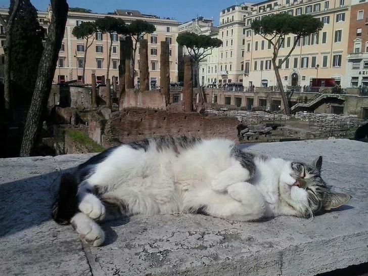 10 Cosas fascinantes que descubrí en mi viaje a Roma