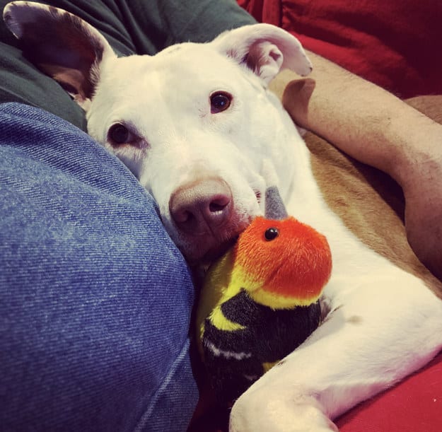 "She has a name! It's Whoopi Goldbird, and I LOVE HER!"