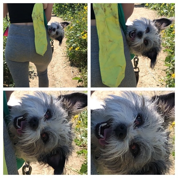 "Do you need any help? Don't wanna leave you hanging!"