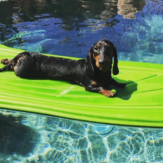 "Sun's out...buns out!"