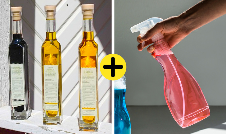 12 Ingeniosas maneras de eliminar las chinches de la cama para siempre