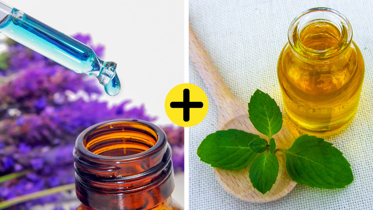 12 Ingeniosas maneras de eliminar las chinches de la cama para siempre