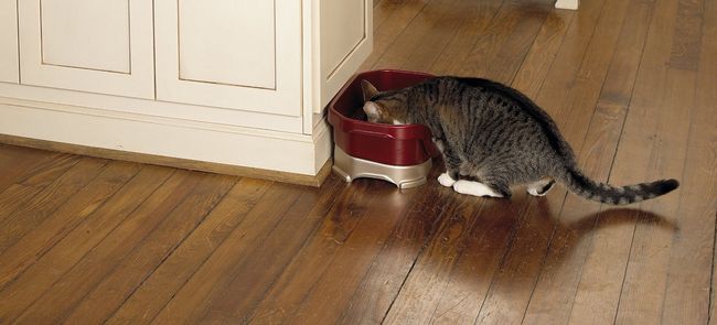 produtos-pessoas-organizadas-10-1