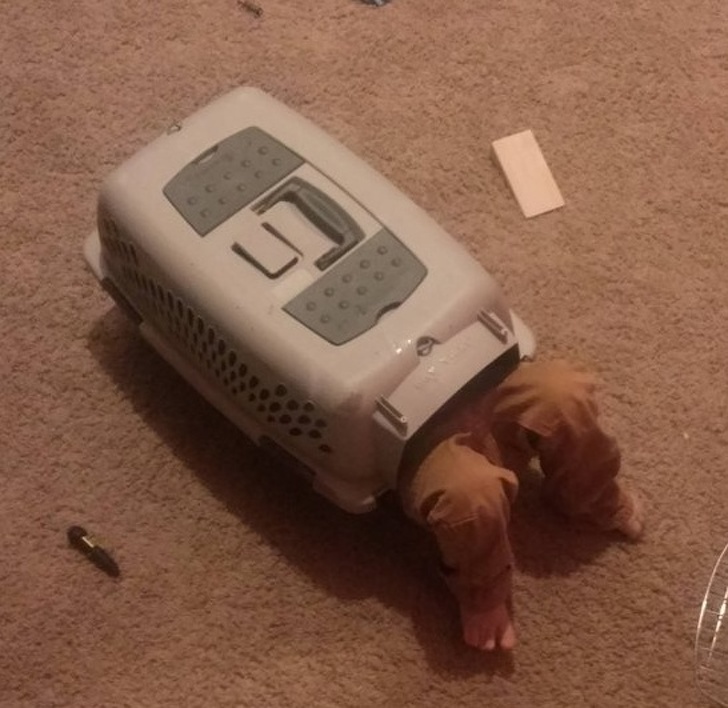 17 Niños que casi hicieron a sus padres sufrir un ataque cardíaco