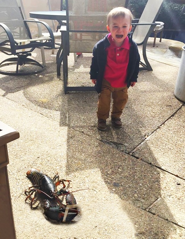 22 Motivos super justificáveis para fazer birra quando você tem 4 anos