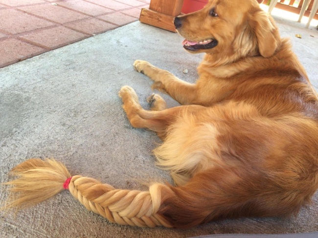 25 Mostras de que não há força mais destruidora do que uma criança que fica sozinha