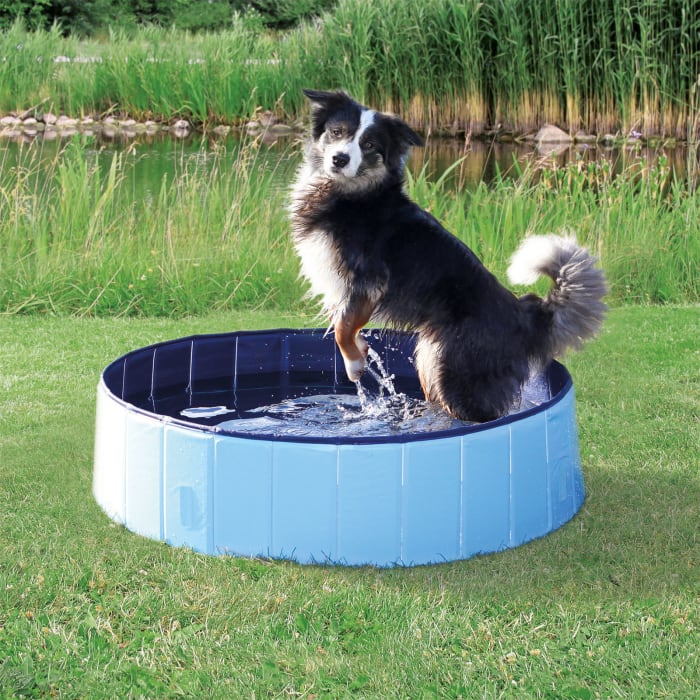 This is made out of scratch-resistant plastic, designed with a wide-mouth drain cap for quick drainage, and can be folded down flat for easy storage.Price: .97