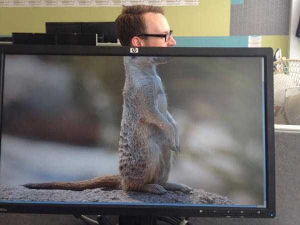 adultos_criancas_tudo_interessante_4