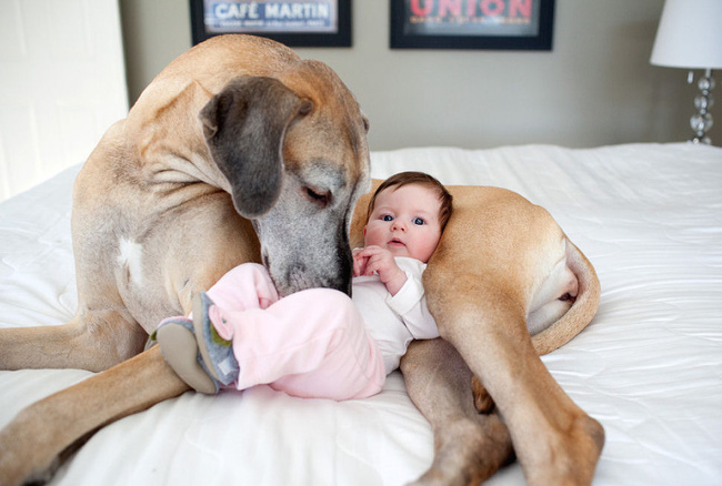 25 imagens que refletem os melhores momentos com o seu bebê