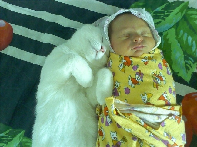 25 imagens que refletem os melhores momentos com o seu bebê