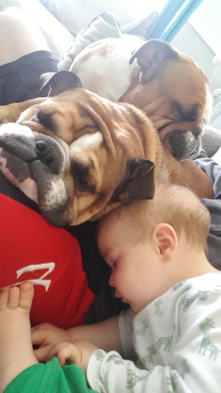 20 Fotos de pais que provam ser capazes de fazer qualquer coisa pelos filhos (até virar travesseiro)