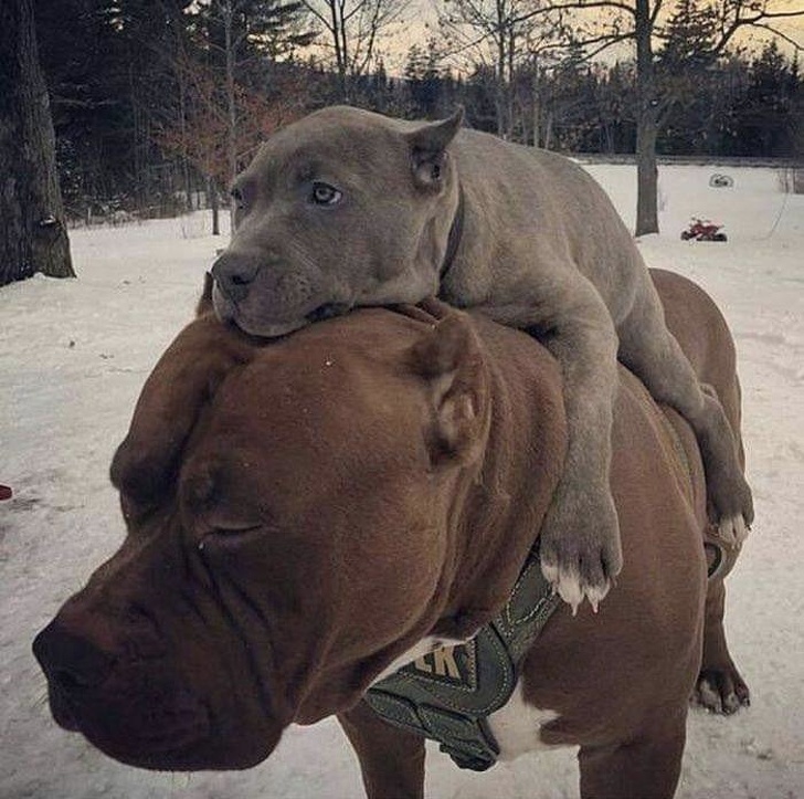 23 Provas de que ser mãe não é nada fácil