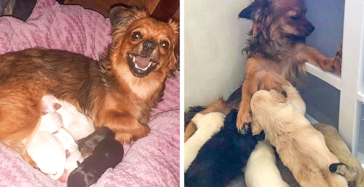 23 Provas de que ser mãe não é nada fácil