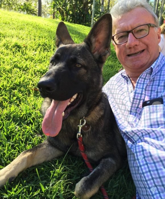 Perro australiano policía con el alcalde