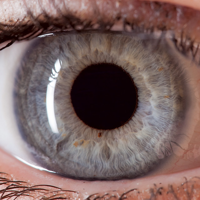 eye