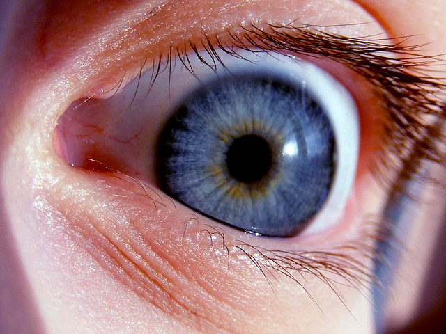 eye