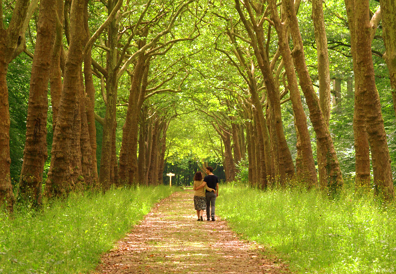 walk