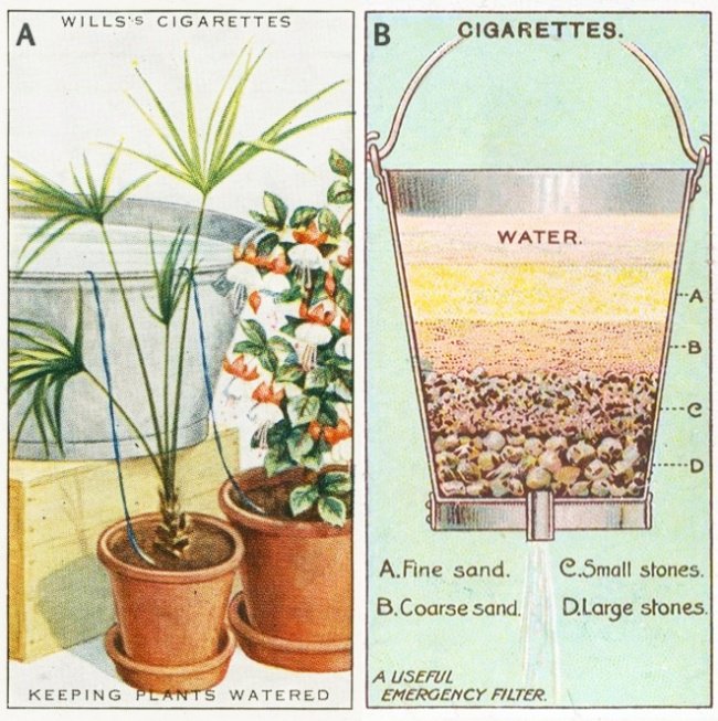 Ilustración consejo antiguo 