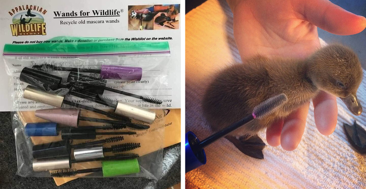 8 Innovadoras maneras de reciclaje que están salvando al planeta de los desechos