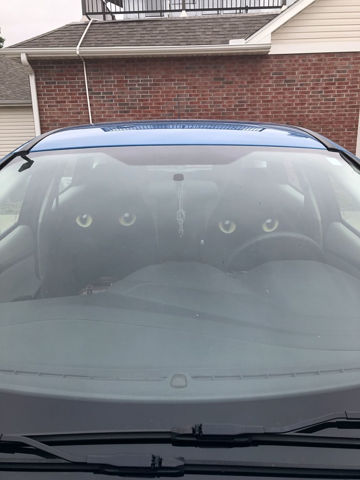 15 Cosas geniales que sus creadores inventaron bajo el lema: “Soy un genio”