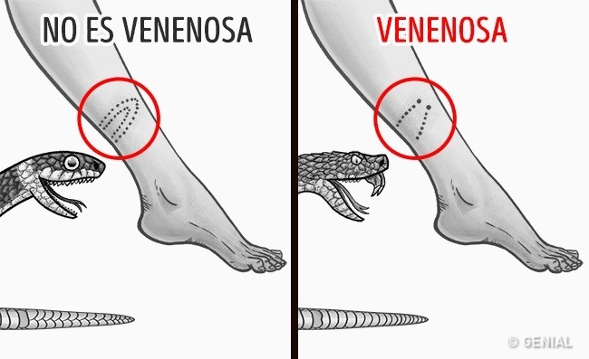 12 Cosas que pueden salvarte la vida en una situación crítica