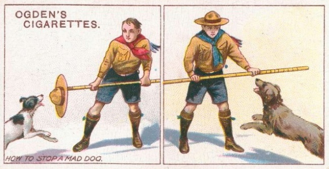 Ilustración consejo antiguo 