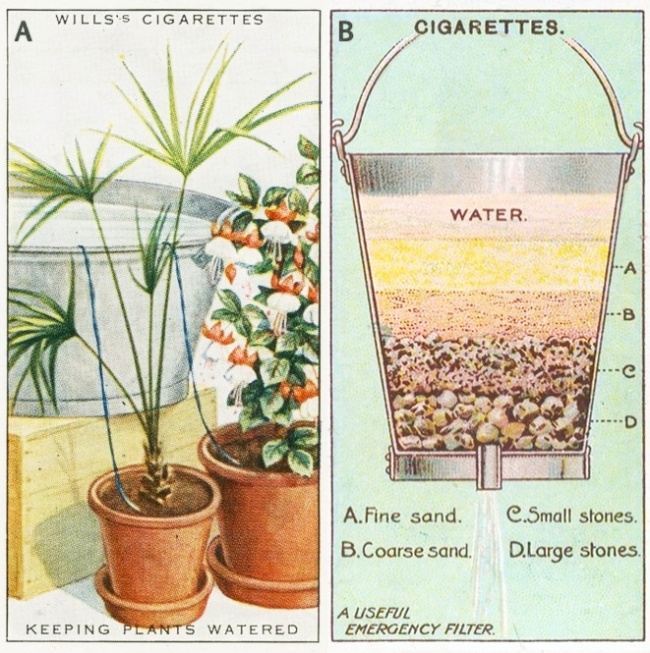 Ilustración consejo antiguo 